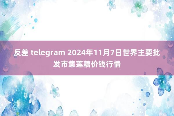 反差 telegram 2024年11月7日世界主要批发市集莲藕价钱行情