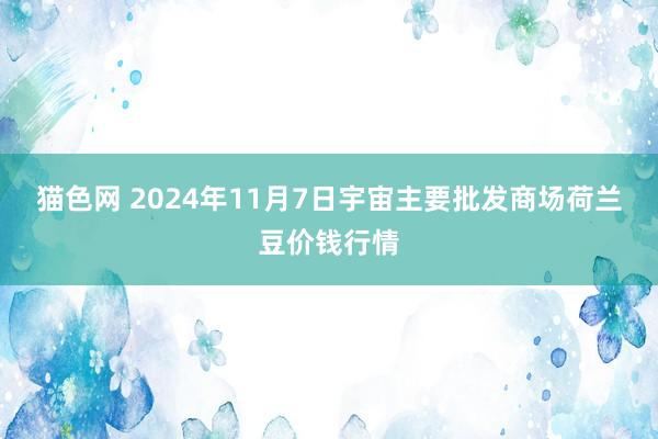 猫色网 2024年11月7日宇宙主要批发商场荷兰豆价钱行情