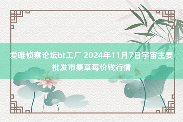 爱唯侦察论坛bt工厂 2024年11月7日宇宙主要批发市集草莓价钱行情