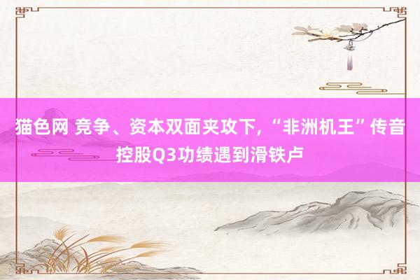 猫色网 竞争、资本双面夹攻下， “非洲机王”传音控股Q3功绩遇到滑铁卢