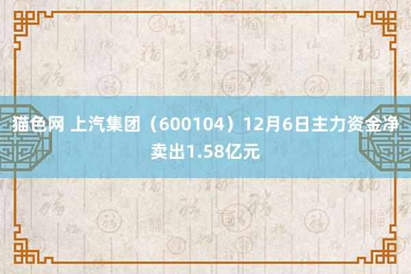 猫色网 上汽集团（600104）12月6日主力资金净卖出1.58亿元