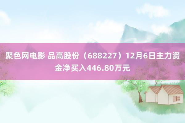 聚色网电影 品高股份（688227）12月6日主力资金净买入446.80万元