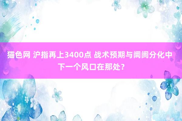 猫色网 沪指再上3400点 战术预期与阛阓分化中 下一个风口在那处？