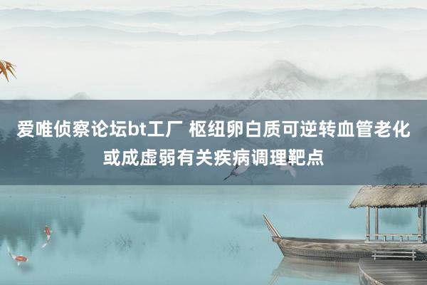 爱唯侦察论坛bt工厂 枢纽卵白质可逆转血管老化或成虚弱有关疾病调理靶点