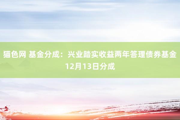 猫色网 基金分成：兴业踏实收益两年答理债券基金12月13日分成