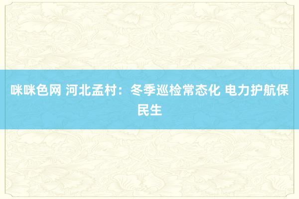 咪咪色网 河北孟村：冬季巡检常态化 电力护航保民生