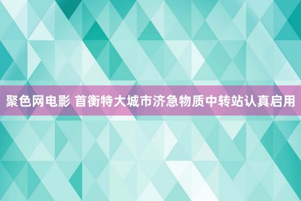 聚色网电影 首衡特大城市济急物质中转站认真启用