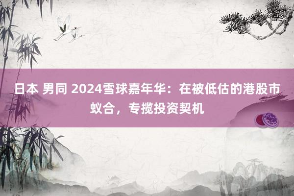 日本 男同 2024雪球嘉年华：在被低估的港股市蚁合，专揽投资契机