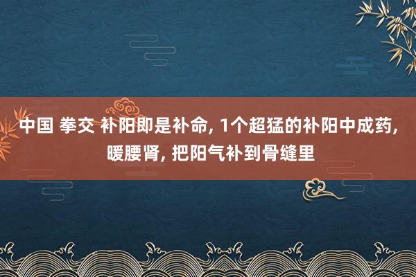 中国 拳交 补阳即是补命， 1个超猛的补阳中成药， 暖腰肾， 把阳气补到骨缝里