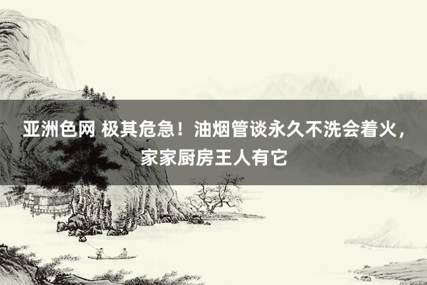 亚洲色网 极其危急！油烟管谈永久不洗会着火，家家厨房王人有它