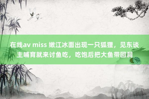 在线av miss 嫩江冰面出现一只狐狸，见东谈主哺育就来讨鱼吃，吃饱后把大鱼带回洞