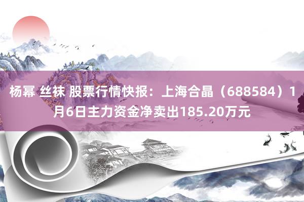 杨幂 丝袜 股票行情快报：上海合晶（688584）1月6日主力资金净卖出185.20万元