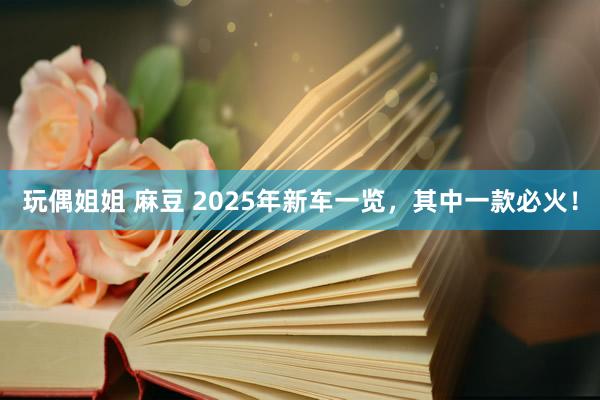 玩偶姐姐 麻豆 2025年新车一览，其中一款必火！