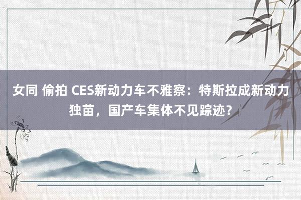 女同 偷拍 CES新动力车不雅察：特斯拉成新动力独苗，国产车集体不见踪迹？