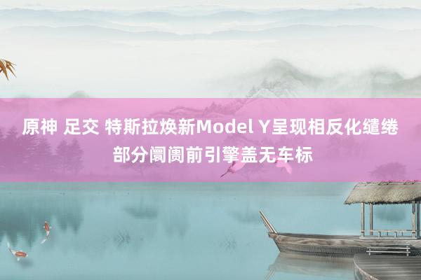 原神 足交 特斯拉焕新Model Y呈现相反化缱绻 部分阛阓前引擎盖无车标