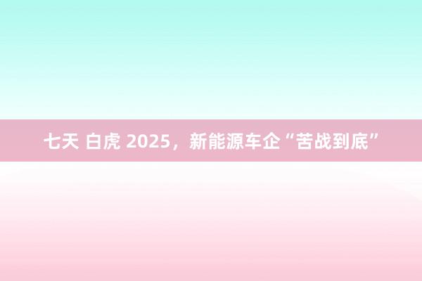 七天 白虎 2025，新能源车企“苦战到底”