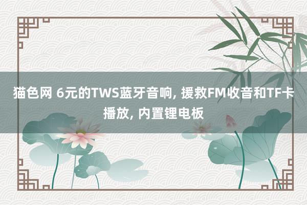 猫色网 6元的TWS蓝牙音响， 援救FM收音和TF卡播放， 内置锂电板